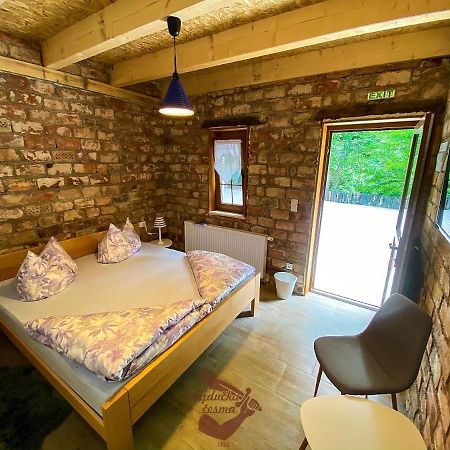 Holiday Park Hajducka Cesma Dubovsko Экстерьер фото