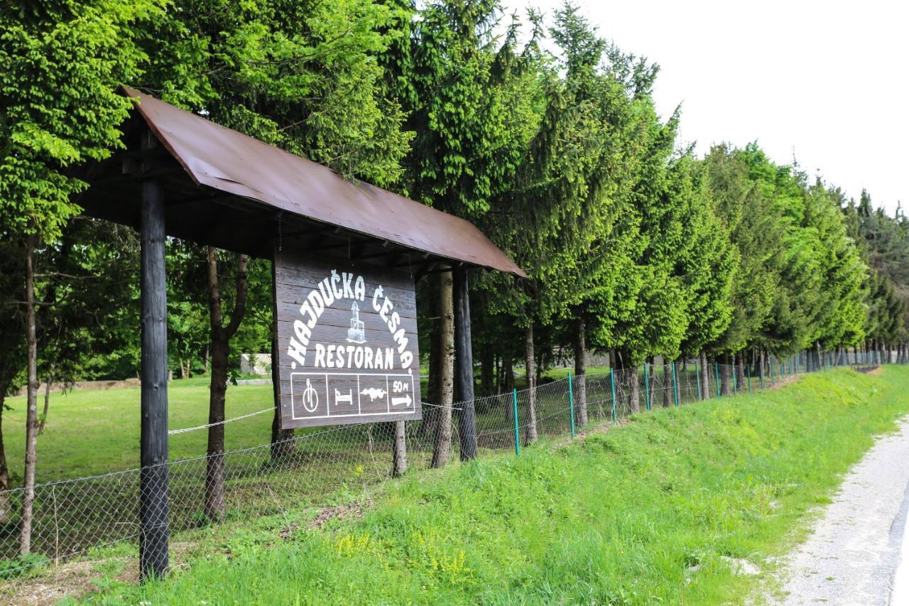 Holiday Park Hajducka Cesma Dubovsko Экстерьер фото